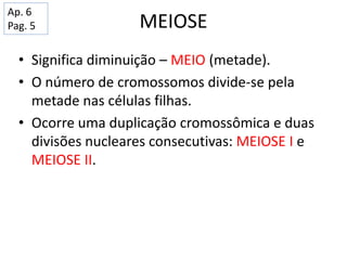 • Significa diminuição – MEIO (metade).
• O número de cromossomos divide-se pela
metade nas células filhas.
• Ocorre uma duplicação cromossômica e duas
divisões nucleares consecutivas: MEIOSE I e
MEIOSE II.
MEIOSE
Ap. 6
Pag. 5
 