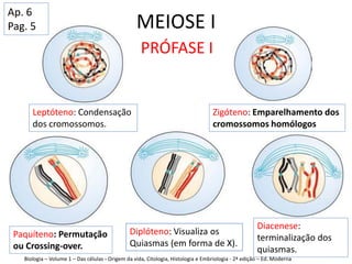 MEIOSE I
Leptóteno: Condensação
dos cromossomos.
Zigóteno: Emparelhamento dos
cromossomos homólogos
Paquíteno: Permutação
ou Crossing-over.
Diplóteno: Visualiza os
Quiasmas (em forma de X).
Diacenese:
terminalização dos
quiasmas.
Biologia – Volume 1 – Das células - Origem da vida, Citologia, Histologia e Embriologia - 2ª edição – Ed. Moderna
PRÓFASE I
Ap. 6
Pag. 5
 
