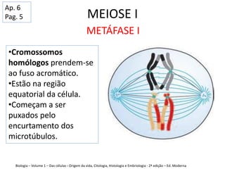 MEIOSE I
Biologia – Volume 1 – Das células - Origem da vida, Citologia, Histologia e Embriologia - 2ª edição – Ed. Moderna
METÁFASE I
•Cromossomos
homólogos prendem-se
ao fuso acromático.
•Estão na região
equatorial da célula.
•Começam a ser
puxados pelo
encurtamento dos
microtúbulos.
Ap. 6
Pag. 5
 