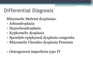 Differential Diagnosis
Rhizomelic Skeletal dysplasias:
• Achondroplasia
• Hypochondroplasia
• Kyphomelic dysplasia
• Spondylo epiphyseal dysplasia congenita
• Rhizomelic Chondro dysplasia Punctata
• Osteogenesis imperfecta type IV
 