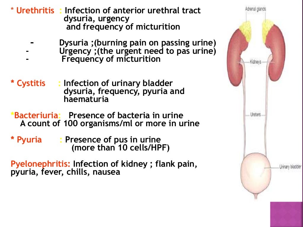CASE STUDY ON Urinary Tract Infection