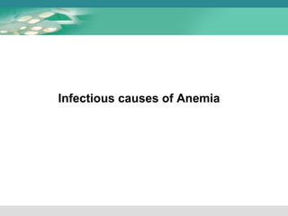 Infectious causes of Anemia 
 