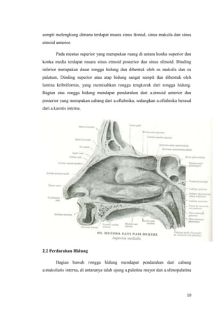 sempit melengkung dimana terdapat muara sinus frontal, sinus maksila dan sinus
etmoid anterior.
Pada meatus superior yang merupakan ruang di antara konka superior dan
konka media terdapat muara sinus etmoid posterior dan sinus sfenoid. Dinding
inferior merupakan dasar rongga hidung dan dibentuk oleh os maksila dan os
palatum. Dinding superior atau atap hidung sangat sempit dan dibentuk oleh
lamina kribriformis, yang memisahkan rongga tengkorak dari rongga hidung.
Bagian atas rongga hidung mendapat pendarahan dari a.etmoid anterior dan
posterior yang merupakan cabang dari a.oftalmika, sedangkan a.oftalmika berasal
dari a.karotis interna.

2.2 Perdarahan Hidung
Bagian bawah rongga hidung mendapat pendarahan dari cabang
a.maksilaris interna, di antaranya ialah ujung a.palatina mayor dan a.sfenopalatina

10

 