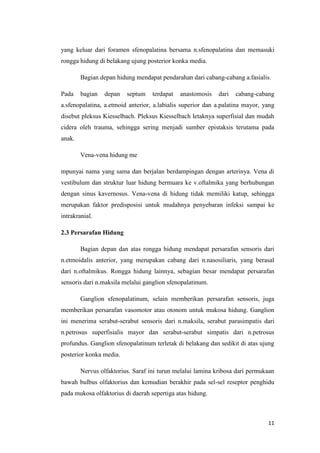 yang keluar dari foramen sfenopalatina bersama n.sfenopalatina dan memasuki
rongga hidung di belakang ujung posterior konka media.
Bagian depan hidung mendapat pendarahan dari cabang-cabang a.fasialis.
Pada

bagian

depan

septum

terdapat

anastomosis

dari

cabang-cabang

a.sfenopalatina, a.etmoid anterior, a.labialis superior dan a.palatina mayor, yang
disebut pleksus Kiesselbach. Pleksus Kiesselbach letaknya superfisial dan mudah
cidera oleh trauma, sehingga sering menjadi sumber epistaksis terutama pada
anak.
Vena-vena hidung me
mpunyai nama yang sama dan berjalan berdampingan dengan arterinya. Vena di
vestibulum dan struktur luar hidung bermuara ke v.oftalmika yang berhubungan
dengan sinus kavernosus. Vena-vena di hidung tidak memiliki katup, sehingga
merupakan faktor predisposisi untuk mudahnya penyebaran infeksi sampai ke
intrakranial.
2.3 Persarafan Hidung
Bagian depan dan atas rongga hidung mendapat persarafan sensoris dari
n.etmoidalis anterior, yang merupakan cabang dari n.nasosiliaris, yang berasal
dari n.oftalmikus. Rongga hidung lainnya, sebagian besar mendapat persarafan
sensoris dari n.maksila melalui ganglion sfenopalatinum.
Ganglion sfenopalatinum, selain memberikan persarafan sensoris, juga
memberikan persarafan vasomotor atau otonom untuk mukosa hidung. Ganglion
ini menerima serabut-serabut sensoris dari n.maksila, serabut parasimpatis dari
n.petrosus superfisialis mayor dan serabut-serabut simpatis dari n.petrosus
profundus. Ganglion sfenopalatinum terletak di belakang dan sedikit di atas ujung
posterior konka media.
Nervus olfaktorius. Saraf ini turun melalui lamina kribosa dari permukaan
bawah bulbus olfaktorius dan kemudian berakhir pada sel-sel reseptor penghidu
pada mukosa olfaktorius di daerah sepertiga atas hidung.

11

 