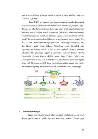 pada mukosa hidung sehingga terjadi pengeluaran Inter Cellular Adhesion
Molecule 1 (ICAM1).
Pada RAFC, sel mastosit juga akan melepaskan molekul kemotaktik
yang menyebabkan akumulasi sel eosinofil dan netrofil di jaringan target.
Respons ini tidak berhenti sampai disini saja, tetapi gejala akan berlanjut dan
mencapai puncak 6-8 jam setelah pemaparan. Pada RAFL ini ditandai dengan
penambahan jenis dan jumlah sel inflamasi seperti eosinofil, limfosit, netrofil,
basofil dan mastosit di mukosa hidung serta pengingkatan sitokin seperti IL3,
IL4, IL5 dan Granulocyte Macrophag Colony Stimulating Factor (GM-CSF)
dan ICAM1 pada sekret hidung. Timbulnya gejala hiperaktif atau
hiperresponsif hidung adalah akibat peranan eosinofil dengan mediator
inflamasi dari granulnya seperti Eosinophilic Cationic Protein (ECP),
Eosiniphilic Derived Protein (EDP), Major Basic Protein (MBP), dan
Eosinophilic Peroxidase (EPO). Pada fase ini, selain faktor spesifik (alergen),
iritasi oleh faktor non spesifik dapat memperberat gejala seperti asap rokok,
bau yang merangsang, perubahan cuaca dan kelembaban udara yang tinggi.

Gambaran Histologik
Secara mikroskopik tampak adanya dilatasi pembuluh (vascular bad)
dengan pembesaran sel goblet dan sel pembentuk mukus. Terdapat juga

20

 