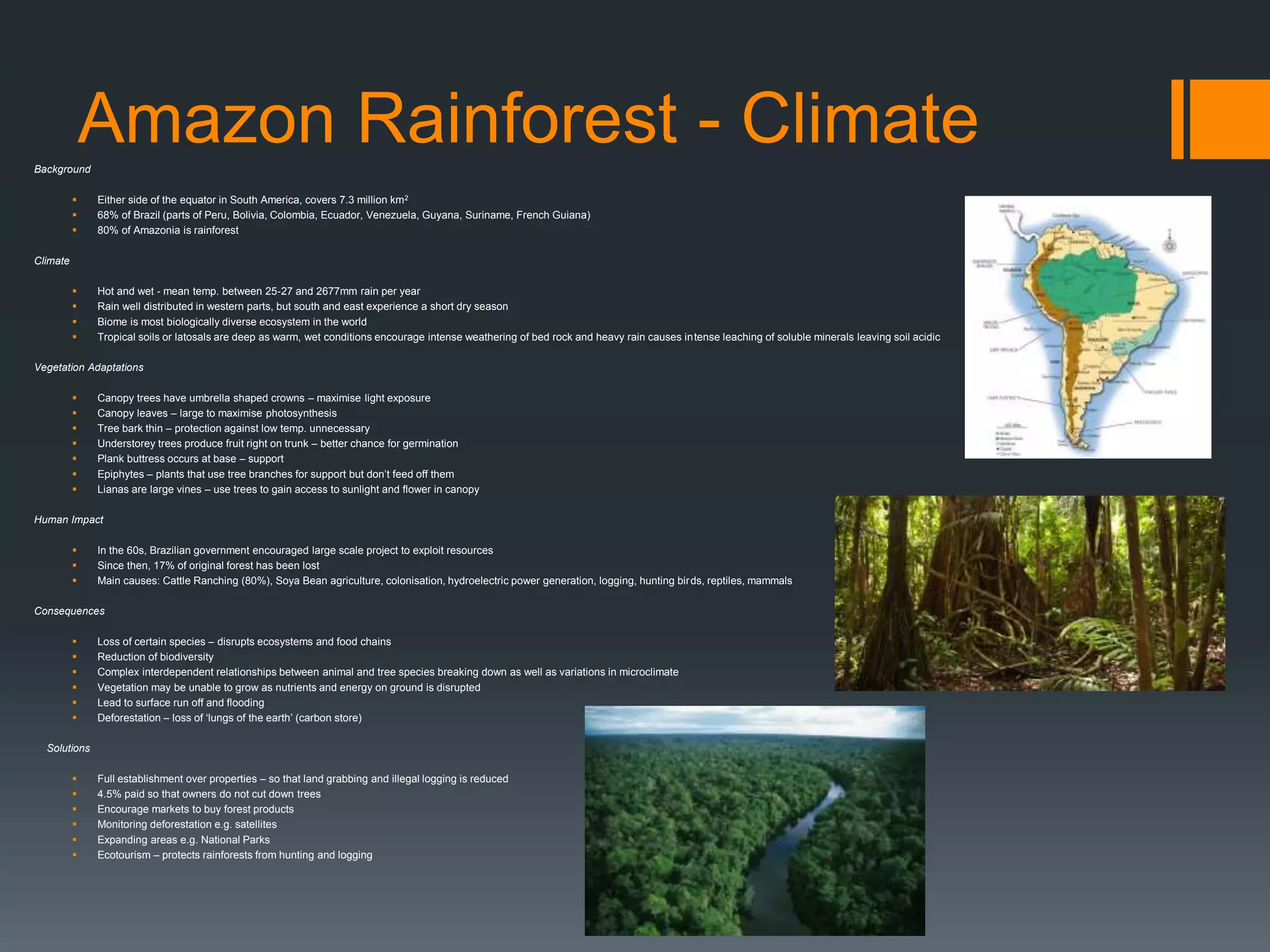 Amazon Rainforest - ClimateBackground
 Either side of the equator in South America, covers 7.3 million km2
 68% of Brazil (parts of Peru, Bolivia, Colombia, Ecuador, Venezuela, Guyana, Suriname, French Guiana)
 80% of Amazonia is rainforest
Climate
 Hot and wet - mean temp. between 25-27 and 2677mm rain per year
 Rain well distributed in western parts, but south and east experience a short dry season
 Biome is most biologically diverse ecosystem in the world
 Tropical soils or latosals are deep as warm, wet conditions encourage intense weathering of bed rock and heavy rain causes intense leaching of soluble minerals leaving soil acidic
Vegetation Adaptations
 Canopy trees have umbrella shaped crowns – maximise light exposure
 Canopy leaves – large to maximise photosynthesis
 Tree bark thin – protection against low temp. unnecessary
 Understorey trees produce fruit right on trunk – better chance for germination
 Plank buttress occurs at base – support
 Epiphytes – plants that use tree branches for support but don’t feed off them
 Lianas are large vines – use trees to gain access to sunlight and flower in canopy
Human Impact
 In the 60s, Brazilian government encouraged large scale project to exploit resources
 Since then, 17% of original forest has been lost
 Main causes: Cattle Ranching (80%), Soya Bean agriculture, colonisation, hydroelectric power generation, logging, hunting birds, reptiles, mammals
Consequences
 Loss of certain species – disrupts ecosystems and food chains
 Reduction of biodiversity
 Complex interdependent relationships between animal and tree species breaking down as well as variations in microclimate
 Vegetation may be unable to grow as nutrients and energy on ground is disrupted
 Lead to surface run off and flooding
 Deforestation – loss of ‘lungs of the earth’ (carbon store)
Solutions
 Full establishment over properties – so that land grabbing and illegal logging is reduced
 4.5% paid so that owners do not cut down trees
 Encourage markets to buy forest products
 Monitoring deforestation e.g. satellites
 Expanding areas e.g. National Parks
 Ecotourism – protects rainforests from hunting and logging
 