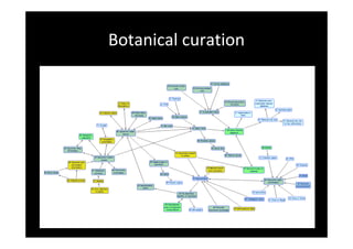 Botanical curation
 