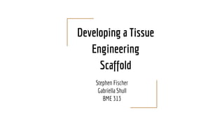 Developing a Tissue
Engineering
Scaffold
Stephen Fischer
Gabriella Shull
BME 313
 