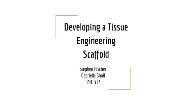 Case study 2 - Tissue Engineering Scaffold | PPT