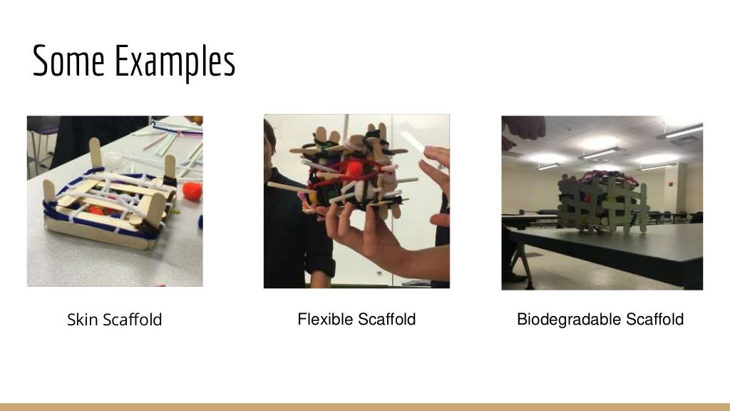 tissue engineering scaffold highly crosslin tissue engineering scaffold highly crosslin