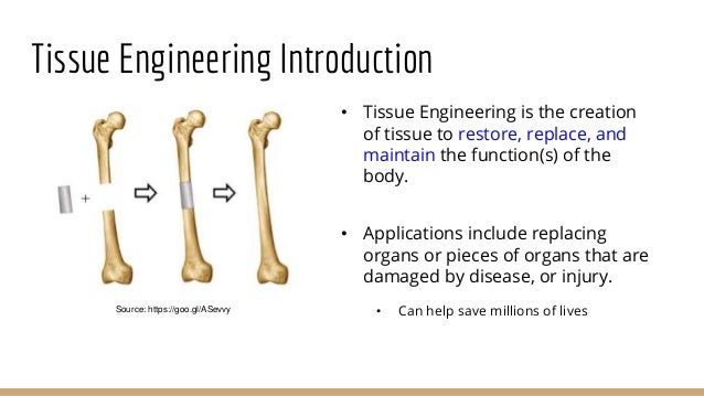 types of scaffolds in tissue engineering Case study 2 - Tissue Engineering Scaffold types of scaffolds in tissue engineering Case study 2 - Tissue Engineering Scaffold