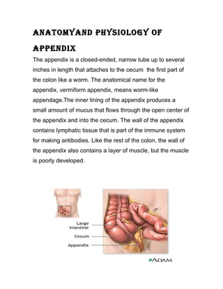 ANATOMYAND PHYSIOLOGY OF
APPENDIX
The appendix is a closed-ended, narrow tube up to several
inches in length that attaches to the cecum the first part of
the colon like a worm. The anatomical name for the
appendix, vermiform appendix, means worm-like
appendage.The inner lining of the appendix produces a
small amount of mucus that flows through the open center of
the appendix and into the cecum. The wall of the appendix
contains lymphatic tissue that is part of the immune system
for making antibodies. Like the rest of the colon, the wall of
the appendix also contains a layer of muscle, but the muscle
is poorly developed.
 