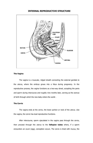 INTERNAL REPRODUCTIVE STRUCTURE




The Vagina


       The vagina is a muscular, ridged sheath connecting the external ge...