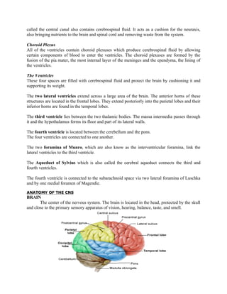 called the central canal also contains cerebrospinal fluid. It acts as a cushion for the neuraxis,
also bringing nutrients to the brain and spinal cord and removing waste from the system.

Choroid Plexus
All of the ventricles contain choroid plexuses which produce cerebrospinal fluid by allowing
certain components of blood to enter the ventricles. The choroid plexuses are formed by the
fusion of the pia mater, the most internal layer of the meninges and the ependyma, the lining of
the ventricles.

The Ventricles
These four spaces are filled with cerebrospinal fluid and protect the brain by cushioning it and
supporting its weight.

The two lateral ventricles extend across a large area of the brain. The anterior horns of these
structures are located in the frontal lobes. They extend posteriorly into the parietal lobes and their
inferior horns are found in the temporal lobes.

The third ventricle lies between the two thalamic bodies. The massa intermedia passes through
it and the hypothalamus forms its floor and part of its lateral walls.

The fourth ventricle is located between the cerebellum and the pons.
The four ventricles are connected to one another.

The two foramina of Munro, which are also know as the interventricular foramina, link the
lateral ventricles to the third ventricle.

The Aqueduct of Sylvius which is also called the cerebral aqueduct connects the third and
fourth ventricles.

The fourth ventricle is connected to the subarachnoid space via two lateral foramina of Luschka
and by one medial foramen of Magendie.

ANATOMY OF THE CNS
BRAIN
       The center of the nervous system. The brain is located in the head, protected by the skull
and close to the primary sensory apparatus of vision, hearing, balance, taste, and smell.
 