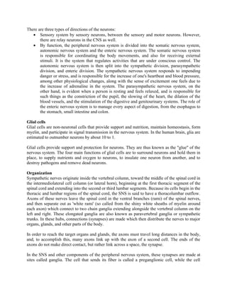 There are three types of directions of the neurons:
   • Sensory system by sensory neurons, between the sensory and motor neurons. However,
       there are relay neurons in the CNS as well.
   • By function, the peripheral nervous system is divided into the somatic nervous system,
       autonomic nervous system and the enteric nervous system. The somatic nervous system
       is responsible for coordinating the body movements, and also for receiving external
       stimuli. It is the system that regulates activities that are under conscious control. The
       autonomic nervous system is then split into the sympathetic division, parasympathetic
       division, and enteric division. The sympathetic nervous system responds to impending
       danger or stress, and is responsible for the increase of one's heartbeat and blood pressure,
       among other physiological changes, along with the sense of excitement one feels due to
       the increase of adrenaline in the system. The parasympathetic nervous system, on the
       other hand, is evident when a person is resting and feels relaxed, and is responsible for
       such things as the constriction of the pupil, the slowing of the heart, the dilation of the
       blood vessels, and the stimulation of the digestive and genitourinary systems. The role of
       the enteric nervous system is to manage every aspect of digestion, from the esophagus to
       the stomach, small intestine and colon.

Glial cells
Glial cells are non-neuronal cells that provide support and nutrition, maintain homeostasis, form
myelin, and participate in signal transmission in the nervous system. In the human brain, glia are
estimated to outnumber neurons by about 10 to 1.

Glial cells provide support and protection for neurons. They are thus known as the "glue" of the
nervous system. The four main functions of glial cells are to surround neurons and hold them in
place, to supply nutrients and oxygen to neurons, to insulate one neuron from another, and to
destroy pathogens and remove dead neurons.

Organization
Sympathetic nerves originate inside the vertebral column, toward the middle of the spinal cord in
the intermediolateral cell column (or lateral horn), beginning at the first thoracic segment of the
spinal cord and extending into the second or third lumbar segments. Because its cells begin in the
thoracic and lumbar regions of the spinal cord, the SNS is said to have a thoracolumbar outflow.
Axons of these nerves leave the spinal cord in the ventral branches (rami) of the spinal nerves,
and then separate out as 'white rami' (so called from the shiny white sheaths of myelin around
each axon) which connect to two chain ganglia extending alongside the vertebral column on the
left and right. These elongated ganglia are also known as paravertebral ganglia or sympathetic
trunks. In these hubs, connections (synapses) are made which then distribute the nerves to major
organs, glands, and other parts of the body.

In order to reach the target organs and glands, the axons must travel long distances in the body,
and, to accomplish this, many axons link up with the axon of a second cell. The ends of the
axons do not make direct contact, but rather link across a space, the synapse.

In the SNS and other components of the peripheral nervous system, these synapses are made at
sites called ganglia. The cell that sends its fiber is called a preganglionic cell, while the cell
 