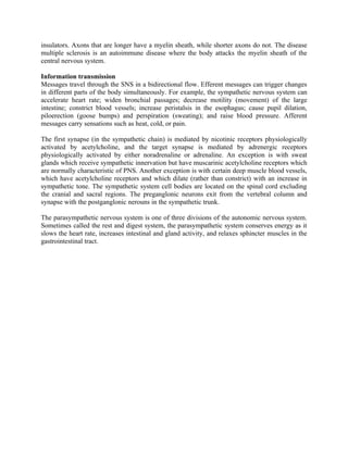insulators. Axons that are longer have a myelin sheath, while shorter axons do not. The disease
multiple sclerosis is an autoimmune disease where the body attacks the myelin sheath of the
central nervous system.

Information transmission
Messages travel through the SNS in a bidirectional flow. Efferent messages can trigger changes
in different parts of the body simultaneously. For example, the sympathetic nervous system can
accelerate heart rate; widen bronchial passages; decrease motility (movement) of the large
intestine; constrict blood vessels; increase peristalsis in the esophagus; cause pupil dilation,
piloerection (goose bumps) and perspiration (sweating); and raise blood pressure. Afferent
messages carry sensations such as heat, cold, or pain.

The first synapse (in the sympathetic chain) is mediated by nicotinic receptors physiologically
activated by acetylcholine, and the target synapse is mediated by adrenergic receptors
physiologically activated by either noradrenaline or adrenaline. An exception is with sweat
glands which receive sympathetic innervation but have muscarinic acetylcholine receptors which
are normally characteristic of PNS. Another exception is with certain deep muscle blood vessels,
which have acetylcholine receptors and which dilate (rather than constrict) with an increase in
sympathetic tone. The sympathetic system cell bodies are located on the spinal cord excluding
the cranial and sacral regions. The preganglonic neurons exit from the vertebral column and
synapse with the postganglonic nerouns in the sympathetic trunk.

The parasympathetic nervous system is one of three divisions of the autonomic nervous system.
Sometimes called the rest and digest system, the parasympathetic system conserves energy as it
slows the heart rate, increases intestinal and gland activity, and relaxes sphincter muscles in the
gastrointestinal tract.
 