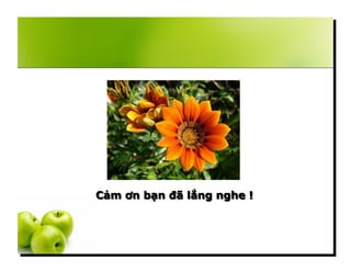 Văn hóa bản lẻ WalMart