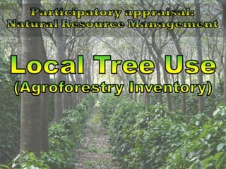 CASE STUDY ( Local tree use) 
