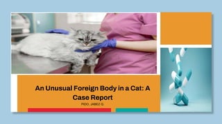 An Unusual Foreign Body in a Cat: A
Case Report
PIDO, JABEZ Q.
 