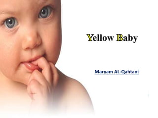 ellow aby
Maryam AL-Qahtani
 