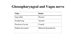 Glossopharyngeal and Vagus nerve
 