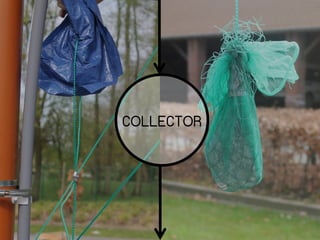 DIY Rainwater harvesting