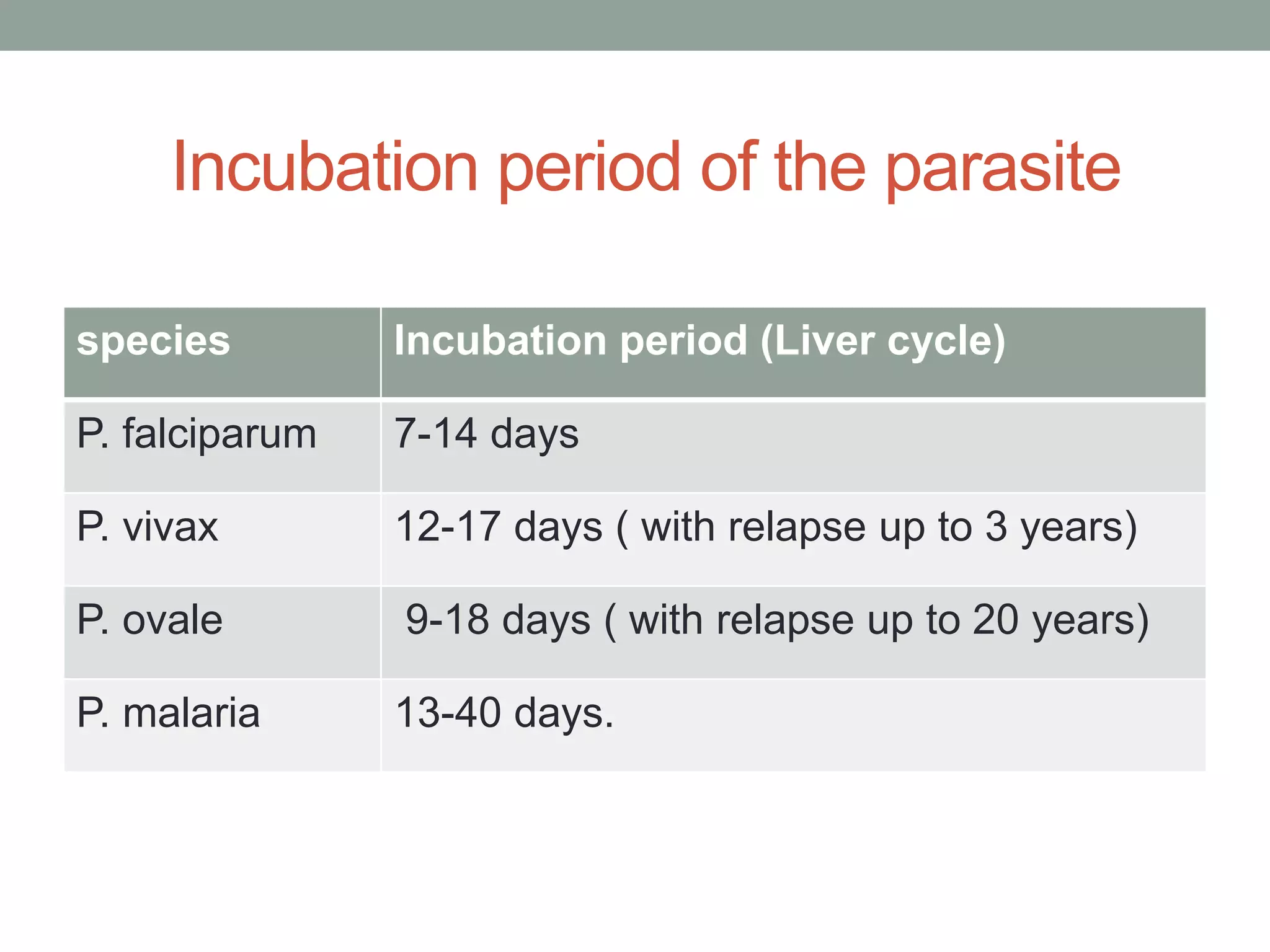 Malaria (Everything about it) | PPTX