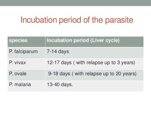 Malaria (Everything about it)