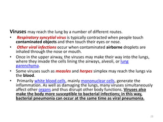 Viruses may reach the lung by a number of different routes.
• Respiratory syncytial virus is typically contracted when people touch
contaminated objects and then touch their eyes or nose.
• Other viral infections occur when contaminated airborne droplets are
inhaled through the nose or mouth.
• Once in the upper airway, the viruses may make their way into the lungs,
where they invade the cells lining the airways, alveoli, or lung
parenchyma.
• Some viruses such as measles and herpes simplex may reach the lungs via
the blood.
• Primarily white blood cells, mainly mononuclear cells, generate the
inflammation. As well as damaging the lungs, many viruses simultaneously
affect other organs and thus disrupt other body functions. Viruses also
make the body more susceptible to bacterial infections; in this way,
bacterial pneumonia can occur at the same time as viral pneumonia.
23
 