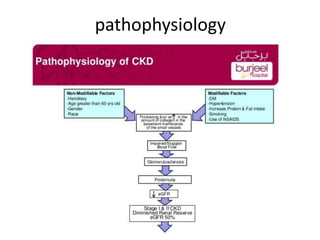 A Case Presentation on Chronic Kidney Disease | PPTX
