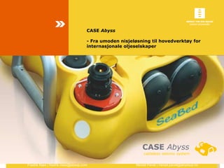 CASE  Abyss   - Fra umoden nisjeløsning til hovedverktøy for internasjonale oljeselskaper 