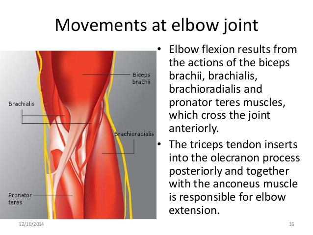 Case based learning joints of upper limb