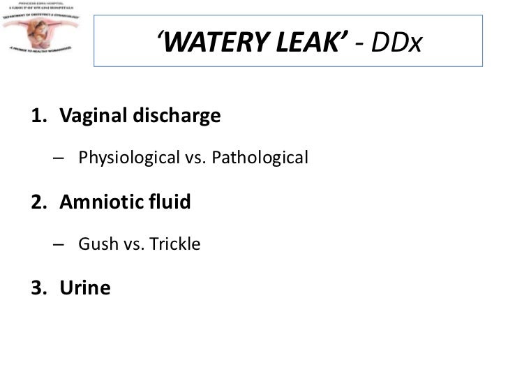 amniotic fluid or discharge amniotic fluid or discharge