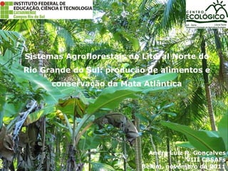 Sistemas Agroflorestais no Litoral Norte do Rio Grande do Sul: produção de alimentos e conservação da Mata Atlântica André Luiz R. Gonçalves VIII CBSAFs Belém, novembro de 2011 