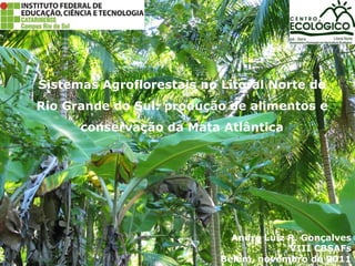 Sistemas Agroflorestais no Litoral Norte do
Rio Grande do Sul: produção de alimentos e
      conservação da Mata Atlântica




                             André Luiz R. Gonçalves
                                        VIII CBSAFs
                           Belém, novembro de 2011
 