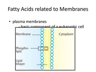 Fatty Acids related to Membranes

• plasma membranes
     - basic component of a eukaryotic cell
 