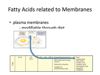 Fatty Acids related to Membranes

• plasma membranes
     - modifiable through diet
 