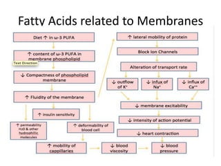 Fatty Acids related to Membranes
 