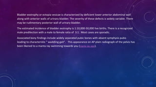 Bladder exstrophy or ectopia vesicae is characterized by deficient lower anterior abdominal wall
along with anterior walls of urinary bladder. The severity of these defects is widely variable. There
may be rudimentary posterior wall of urinary bladder.
The estimated incidence of bladder exstrophy is 1:10,000-50,000 live births. There is a recognized
male predilection with a male to female ratio of 3:1 . Most cases are sporadic.
Associated bony findings include widely separated pubic bones with absent symphysis pubis
leading to characteristic " waddling gait". This appearance on AP plain radiograph of the pelvis has
been likened to a manta ray swimming towards you (manta ray sign).
 