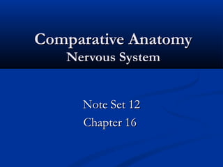 Comparative AnatomyComparative Anatomy
Nervous SystemNervous System
Note Set 12Note Set 12
Chapter 16Chapter 16
 