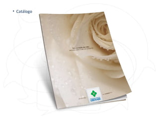 Catálogo 