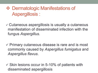  Dermatologic Manifestations of
Aspergillosis :
 Cutaneous aspergillosis is usually a cutaneous
manifestation of disseminated infection with the
fungus Aspergillus.
 Primary cutaneous disease is rare and is most
commonly caused by Aspergillus fumigatus and
Aspergillus flavus.
 Skin lesions occur in 5-10% of patients with
disseminated aspergillosis
 