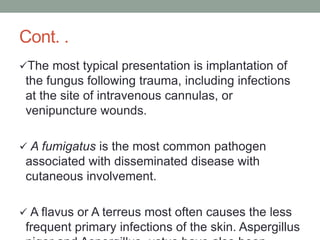 Cont. .
The most typical presentation is implantation of
the fungus following trauma, including infections
at the site of intravenous cannulas, or
venipuncture wounds.
 A fumigatus is the most common pathogen
associated with disseminated disease with
cutaneous involvement.
 A flavus or A terreus most often causes the less
frequent primary infections of the skin. Aspergillus
 