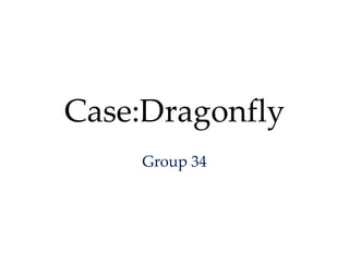 Case:Dragonfly Group 34 