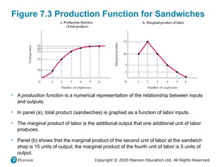 Understanding the Production Process and Profit Maximization in Firms ...