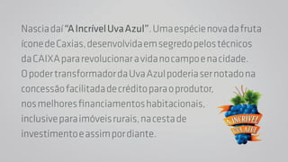 Nascia daí “A Incrível Uva Azul”. Uma espécie nova da fruta 
ícone de Caxias, desenvolvida em segredo pelos técnicos 
da CAIXA para revolucionar a vida no campo e na cidade. 
O poder transformador da Uva Azul poderia ser notado na 
concessão facilitada de crédito para o produtor, 
nos melhores financiamentos habitacionais, 
inclusive para imóveis rurais, na cesta de 
investimento e assim por diante. 
 