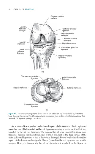 Case Files Anatomy case files xcnjjkjjjja | PDF