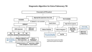 Case finding and diagnostic strategies for Tuberculosis | PPTX