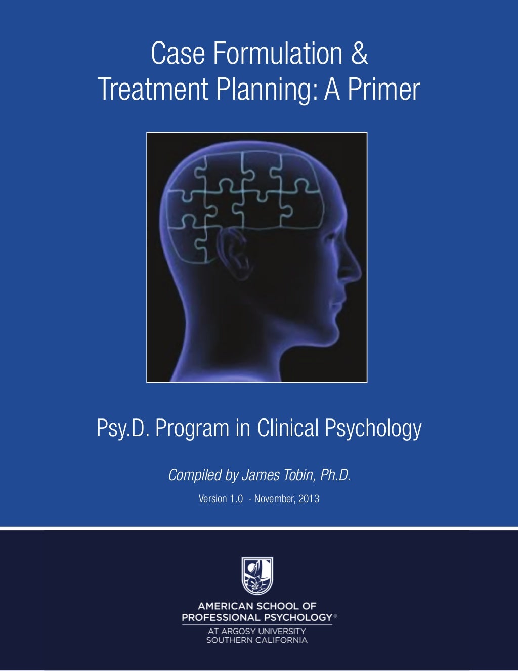 Clinical Psychology Case Formulation and Treatment Planning A Primer