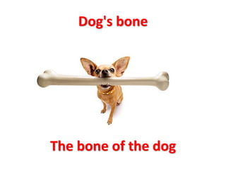 Dog's bone
The bone of the dog
 
